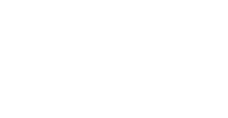 bi-t-pay-White logo